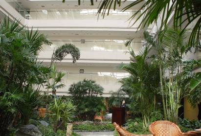 Joy City Hotel Beijing